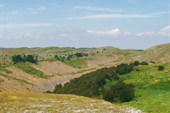 P6240189 - копи_resize